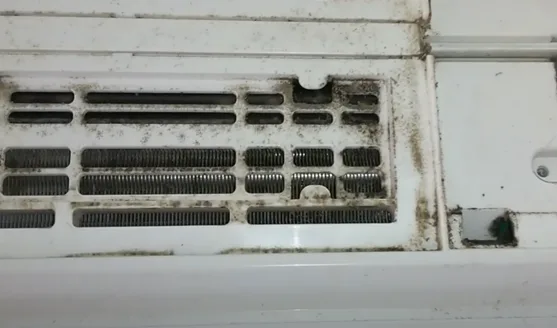 Can Mold Grow in an Air Conditioner? Shocking Facts Revealed!